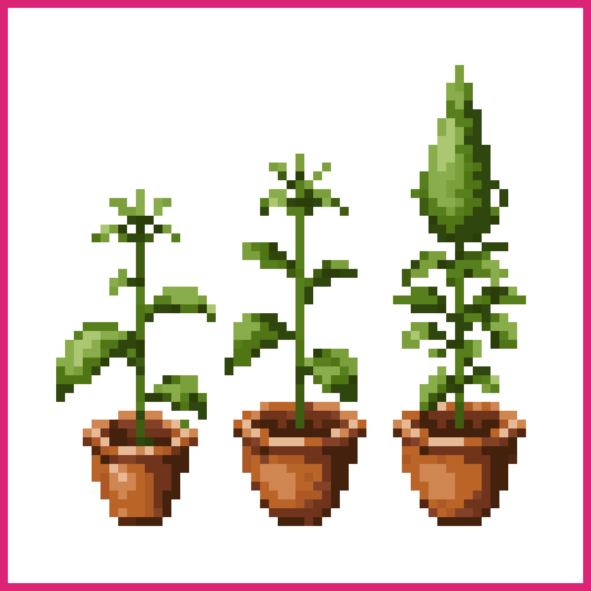 Cannabis Plant Growth Stages | Sprite-AI