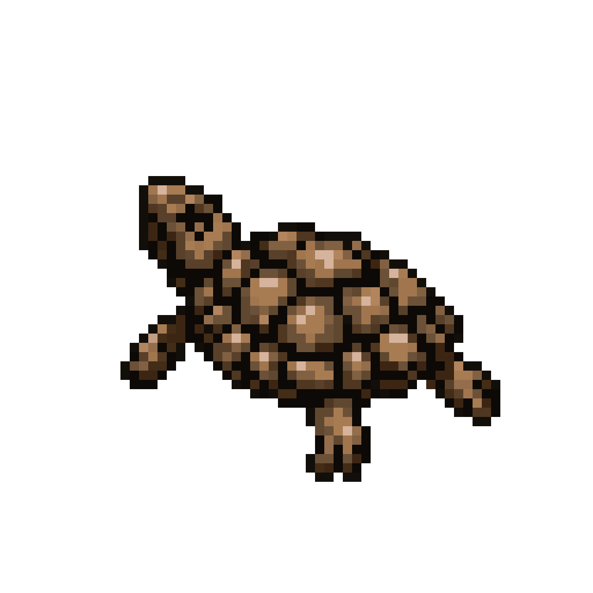 Red-eared Slider Turtle pixel art